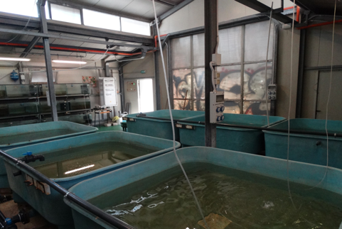 A large tubs of water in a room

Description automatically generated