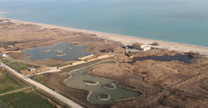 A bird's eye view of a beach

Description automatically generated