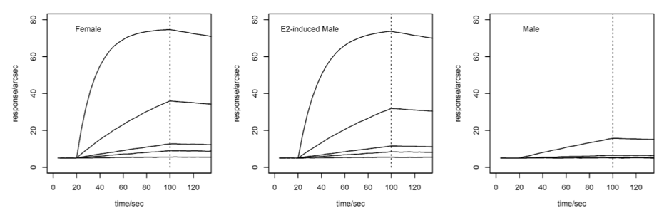 A graph of a line

Description automatically generated with medium confidence