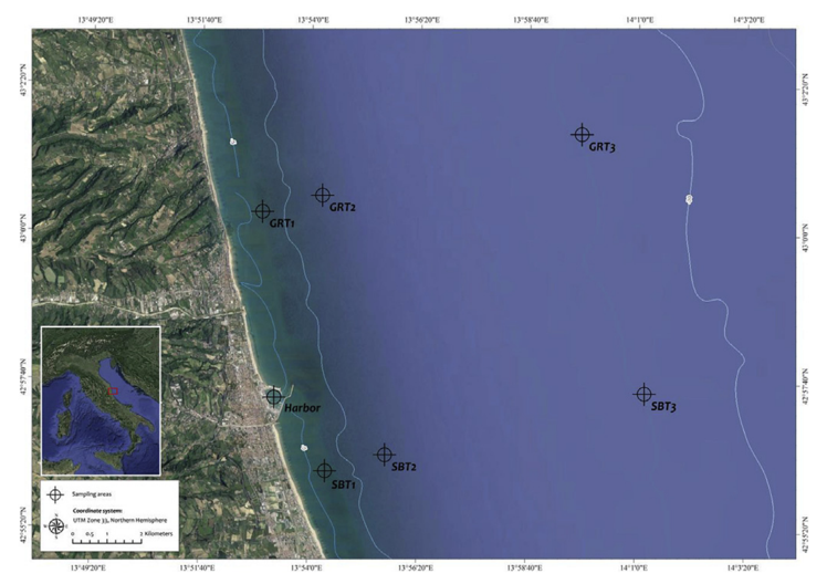 A map of the coast

Description automatically generated